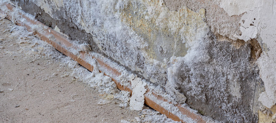 Se débarrasser du salpêtre sur les murs